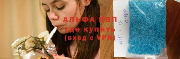 индика Дегтярск