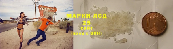 дмт Новозыбков
