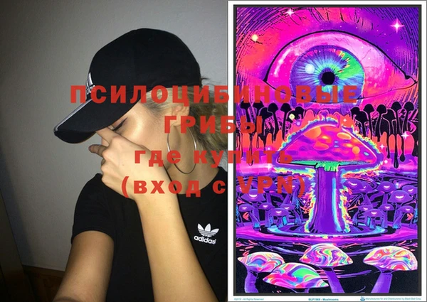 мдма Новодвинск