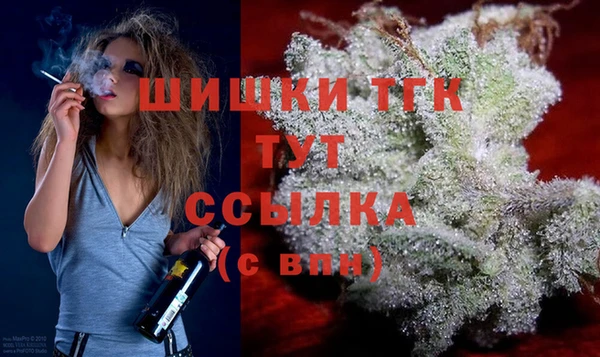 дмт Новозыбков