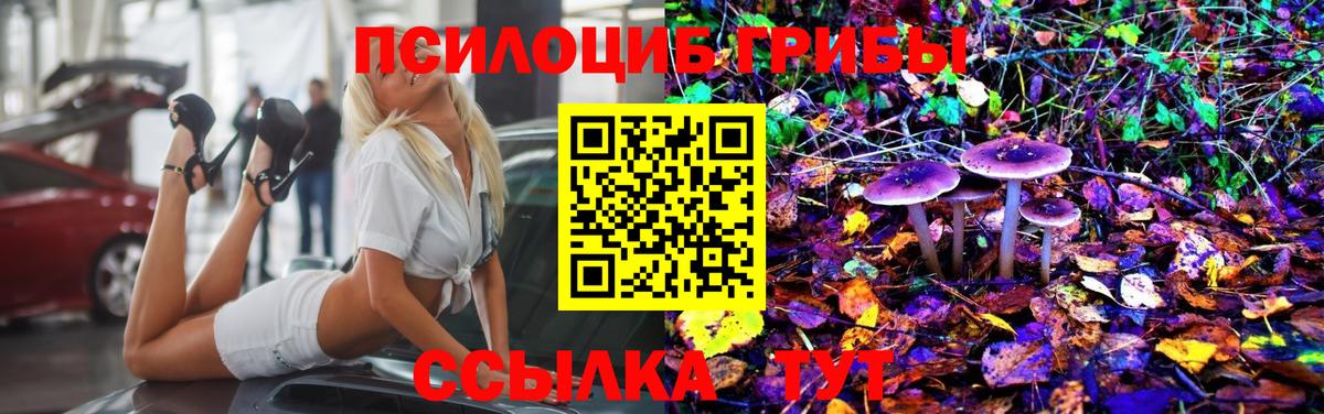 Галлюциногенные грибы Cubensis  Кашира  Псилоцибиновые грибы MAGIC MUSHROOMS 