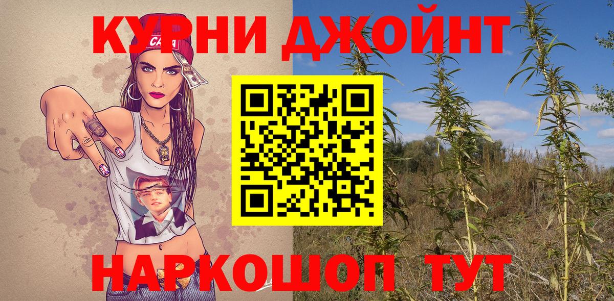 Бошки марихуана сатива Кашира